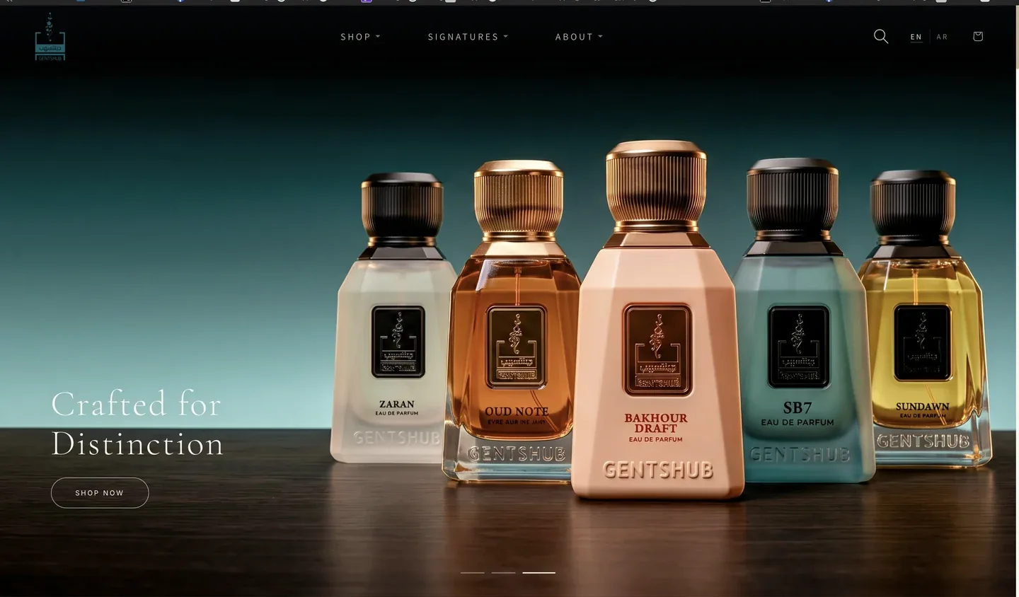 GENTSHUB website interface 3
