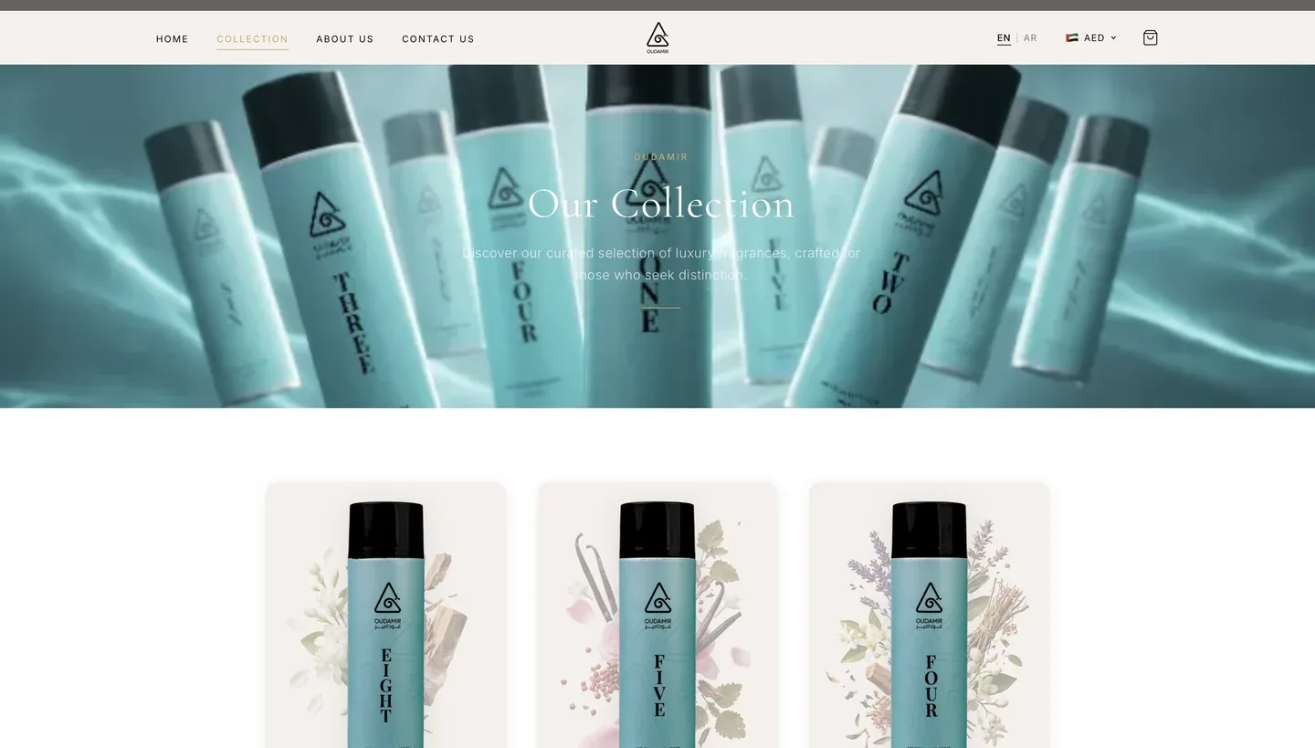 OUDAMIR website interface 2